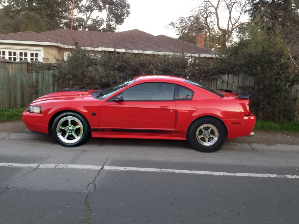 Mustang_WheelChop.jpg