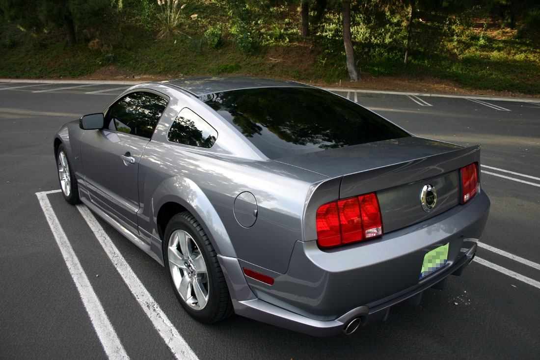 Penny_Z_Rear.jpg