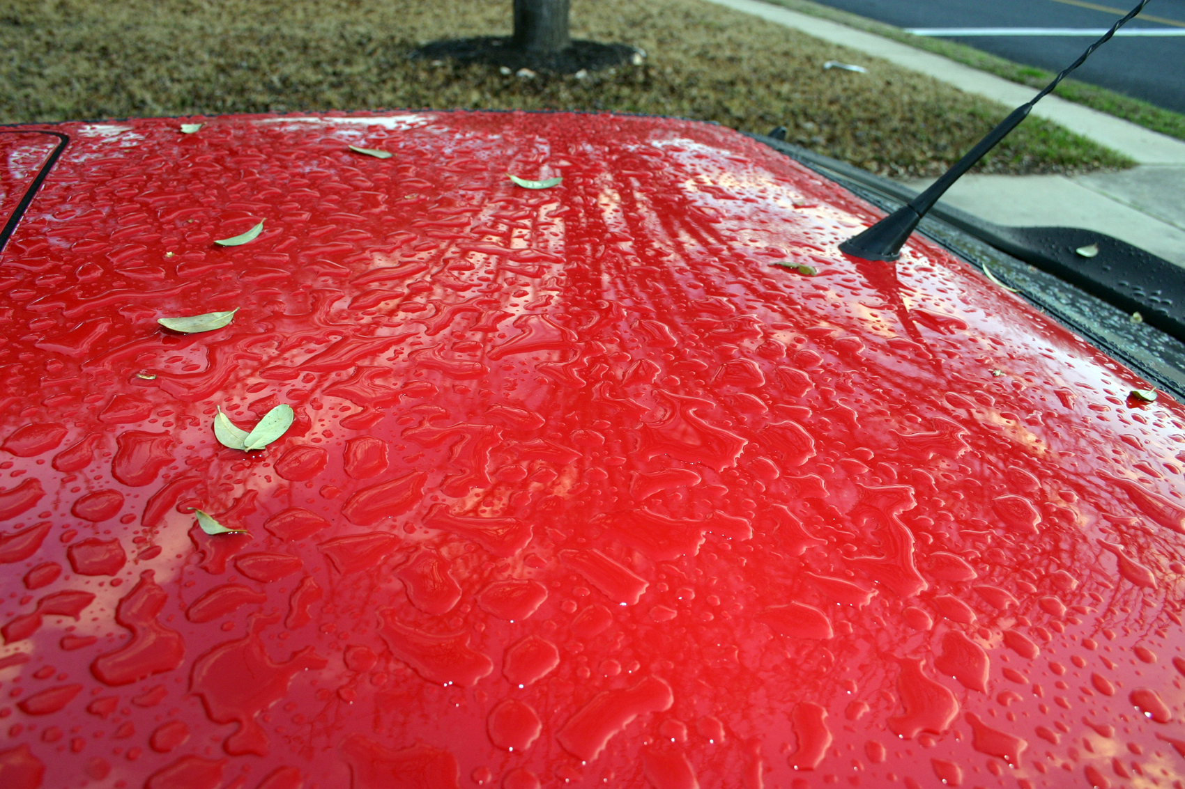 Scirocco11.jpg