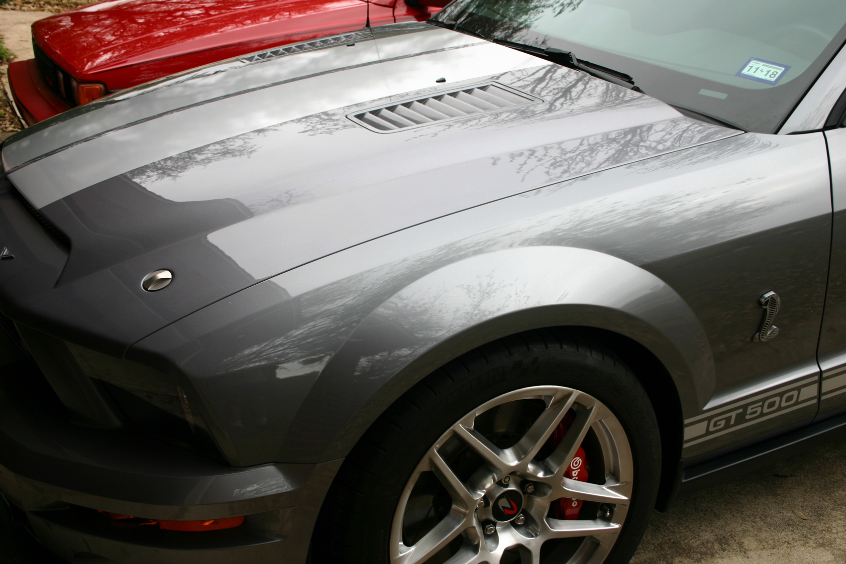 Shelby1.jpg